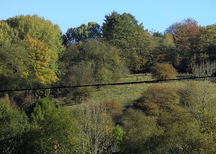 Finkenberg Hotell 3*