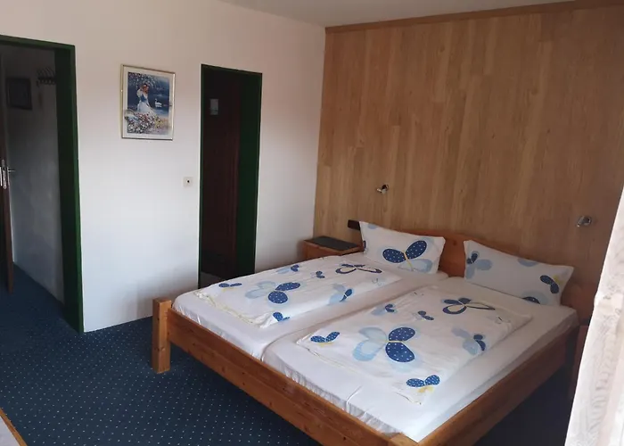 Hotel Finkenberg