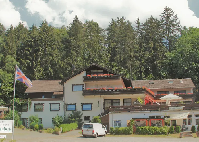 Hotell Finkenberg 3*