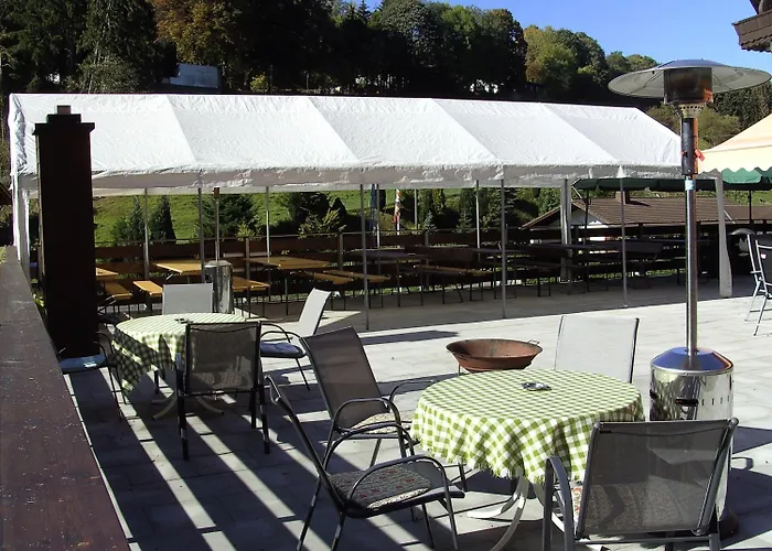 Hotell Finkenberg 3*