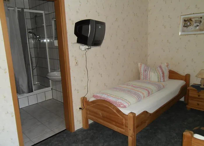 Hotell Finkenberg 3*